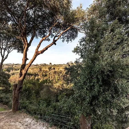 Partino Arthouse * Palaia