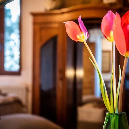 Partino Arthouse * Palaia