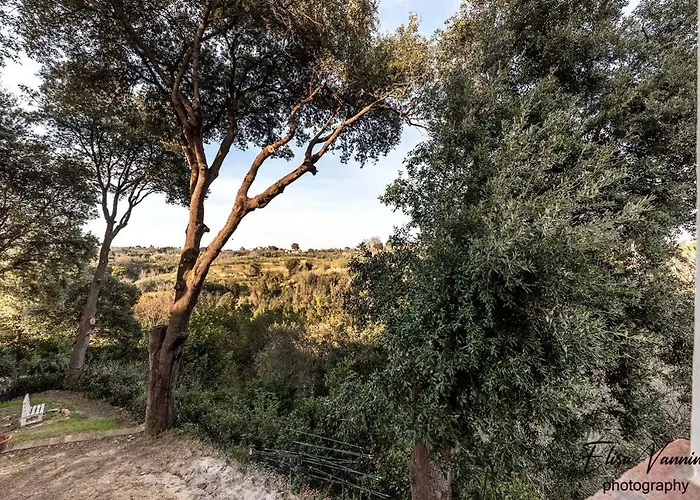 Partino Arthouse * Palaia