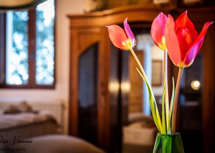 Partino Arthouse * Palaia