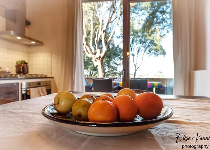 Partino Arthouse Palaia