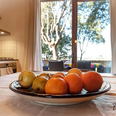 Partino Arthouse 帕拉亚